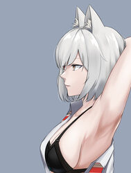  animal_ear_fluff animal_ears armpits black_bra bra breasts closed_mouth commission female grey_background grey_hair hand_on_own_head heterochromia highres korean_commentary looking_away medium_breasts medium_hair open_clothes original photoshop_(medium) profile red_eyes simple_background solo sweatdrop tewaki underwear yellow_eyes 