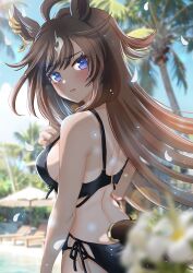  ahoge animal_ears bikini black_bikini blue_sky blurry bow brown_hair cloud cowboy_shot day depth_of_field duramente_(umamusume) ear_bow female from_behind highres horse_ears horse_girl horse_tail long_hair looking_at_viewer looking_back medium_hair multicolored_hair multiple_girls otono_(bkt4b) outdoors palm_tree purple_eyes side-tie_bikini_bottom sky solo streaked_hair swimsuit tail tree umamusume white_hair 