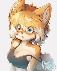  acky05 amber_eyes anthro blue_eyes blush breasts bust_portrait canid canine canis circle_eyebrows cleavage clothed clothing domestic_dog eye_through_hair eyebrow_through_hair eyebrows female fur fuwari_(acky05) hair hair_over_eyes heterochromia hi_res kemono mammal off_shoulder open_mouth orange_body orange_fur orange_hair portrait shiba_inu side_boob signature simple_background solo spitz translucent translucent_hair white_background 