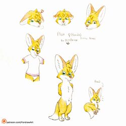  1:1 admiring_self angry anthro canid canine clothing expressions female fennec_fox feral fox heart_symbol hi_res mammal model_sheet nerves pawpads paws satisfaction scared shirt sigh solo t-shirt text timid topwear true_fox url yordraw 