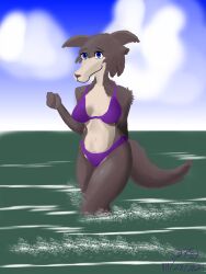  absurd_res anthro arm_tuft beastars belly bikini bikini_bottom bikini_top blue_eyes brown_body brown_fur canid canine canis clothing cloud countershade_face countershade_neck countershade_torso countershading digital_media_(artwork) digital_painting_(artwork) female fist fur gotadraw hand_behind_head head_tuft hi_res juno_(beastars) looking_at_viewer mammal neck_tuft sea shoulder_tuft smile solo swimwear tail tan_body tan_fur tuft two-piece_swimsuit water wolf 