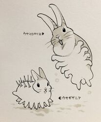  2016 ambiguous_gender anomalocarid anomalocaris arthropod duo hallucigenia hi_res hybrid ichthy0stega japanese_text lagomorph leporid lobopod mammal marine multi_limb rabbit simple_background text translation_check translation_request xenusiid 