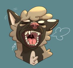  absurd_res anthro bared_teeth barley_(sambles) brown_body canid canine canis chest_tuft curled_hair domestic_dog ear_flick gums hair hi_res male mammal open_mouth pink_nose sambles snarling solo spots spotted_ears teeth teeth_showing throat tongue tuft white_spots white_tuft yawn 