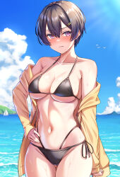  arm_at_side bikini black_bikini blue_sky brown_hair cloud cloudy_sky collarbone day drawstring female frown furrowed_brow groin hair_between_eyes hair_intakes hair_ornament hairclip hand_on_own_hip highres hirorinwelcome hood hoodie light_blush looking_at_viewer mountainous_horizon navel ocean off_shoulder open_clothes open_hoodie original outdoors pink_eyes short_hair sidelocks sky spaghetti_strap standing sunlight swimsuit waves wet yellow_hoodie 