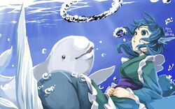  air_bubble animal_ears bad_id bad_twitter_id beluga_whale blue_eyes blue_hair bubble female fins green_kimono head_fins japanese_clothes kimono mermaid monster_girl obi oniku_(o_ni_q) open_mouth sash short_hair solo touhou underwater wakasagihime 