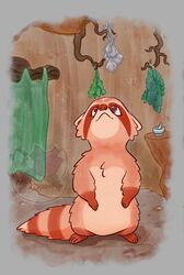  ambiguous_gender apothecary digital_media_(artwork) digital_painting_(artwork) feral fur herbs hi_res mammal misspooks painting_(artwork) procyonid raccoon solo tail traditional_media_(artwork) watercolor_(artwork) 