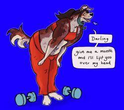  2024 3_fingers 3_toes anthro barefoot black_nose blue_background blue_highlights blue_outline border_collie bottomwear bra breasts breath brown_body brown_fur brown_hair brown_tail canid canine canis cleavage clothed clothed_anthro clothing collie colored dialogue digital_drawing_(artwork) digital_media_(artwork) domestic_dog english_text eyelashes fangs feet female fingers flockdog fluffy fluffy_tail fur hair handpaw hands_on_legs herding_dog hi_res highlights_(coloring) leaning leaning_forward mammal multicolored_body multicolored_fur multicolored_hair multicolored_tail navel navel_piercing open_mouth open_smile outline panting pants pastoral_dog paws piercing pink_tongue ponytail red_bottomwear red_bra red_clothing red_pants red_sports_bra red_underwear roxanne_(flockdog) shaded sheepdog simple_background slightly_chubby slightly_chubby_anthro slightly_chubby_female smile solo speech_bubble sports_bra standing tail talking_to_another talking_to_partner teeth text thick_thighs thin_eyebrows toes tongue tongue_out trans_(lore) trans_woman_(lore) two_tone_hair underwear weights whisker_spots white_body white_fur white_tail 