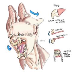  animal_ears bat_boy bat_ears blue_sclera bw_usagi colored_sclera english_commentary english_text fangs highres looking_at_viewer monster_boy open_mouth orange_eyes original portrait reference_sheet sharp_teeth short_hair simple_background teeth very_short_hair white_background 