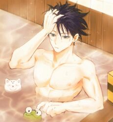  1boy abs bath black_hair canine closed_mouth collarbone expressionless frog fushiguro_megumi grey_eyes hair_between_eyes hand_in_own_hair indoors jujutsu_kaisen male_focus nude onsen partially_submerged pectorals short_hair siveryfoku solo sparkle steam upper_body water wet 