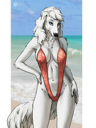  anthro beach bikini blurred_background borzoi breasts canid canine canis clothing digital_media_(artwork) domestic_dog female hair hi_res hunting_dog mammal sand sighthound solo swimwear tail techiesxc two-piece_swimsuit 