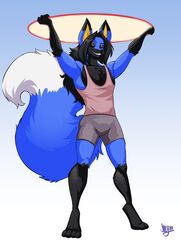  2020 absurd_res anthro arms_above_head black_hair black_sclera blue_body blue_fur bottomwear canid canine clothed clothing desmond_fallout_(desmondfallout) digitigrade fox fur gloves_(marking) hair hi_res hoop imminent_transformation jaeh long_hair male mammal markings shirt shorts smile solo tank_top topwear transformation_ring 