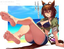  agnes_tachyon_(umamusume) animal_ears arm_support bare_legs barefoot beach bikini blue_bikini blue_shorts blue_sky blush border breasts brown_eyes brown_hair character_request check_character ear_ribbon eyelashes feet female foot_focus foreshortening full_body green_shirt hair_between_eyes highres horse_ears horse_girl large_breasts legs long_hair open_mouth outdoors presenting_foot shadow shirt short_shorts shorts sitting sky smoke_klll soles solo sweat sweatdrop swimsuit thighs tied_shirt toenails toes torn_clothes torn_shorts umamusume white_border 