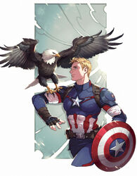  1boy animal_on_arm animification bald_eagle belt bird bird_on_arm blonde_hair blue_eyes captain_america commentary_request cowboy_shot eagle fingerless_gloves gloves male_focus marvel photoshop_(medium) pouch shield steve_rogers superhero_costume yufy 