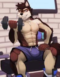  abs absurd_res anthro bench biceps black_body black_fur boots bottomwear brown_body brown_fur bulge canid canine canis clothing elzix_(elzix) exercise flexing flexing_bicep flexing_muscles footwear fur gym hi_res kemono large_pecs locker_room male mammal muscular muscular_male pecs shirtless shorts smile smiling_at_viewer smirk smirking_at_viewer solo vein vitaly4321 white_body white_fur wolf workout 